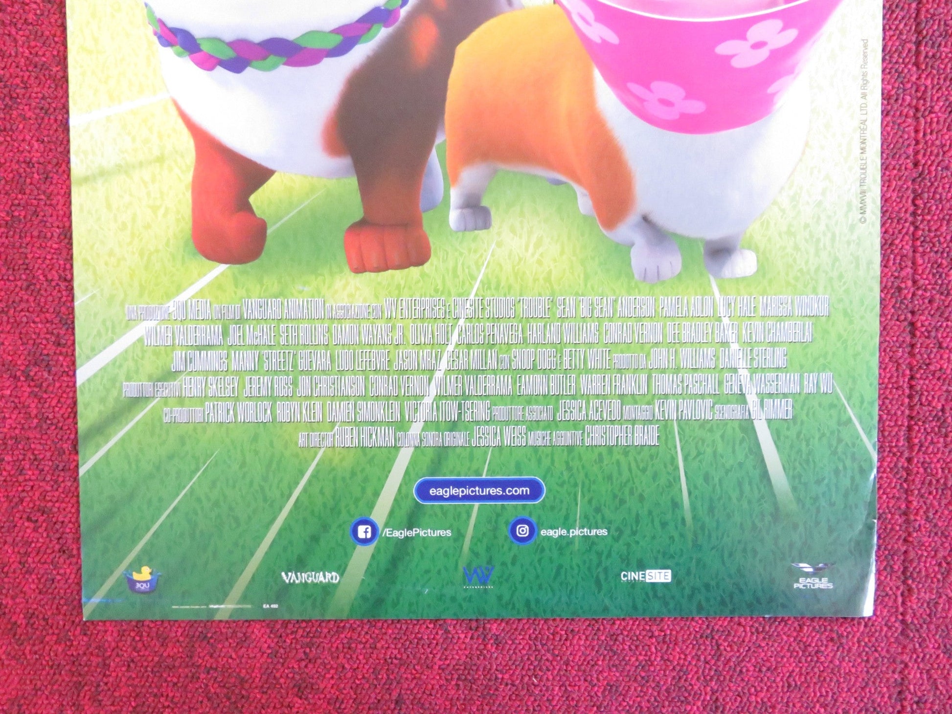 TAPPO CUCCIOLO IN UN MARE DI GUAI ITALIAN LOCANDINA POSTER BIG SEAN 2019 Rendezvous Cinema Movie posters