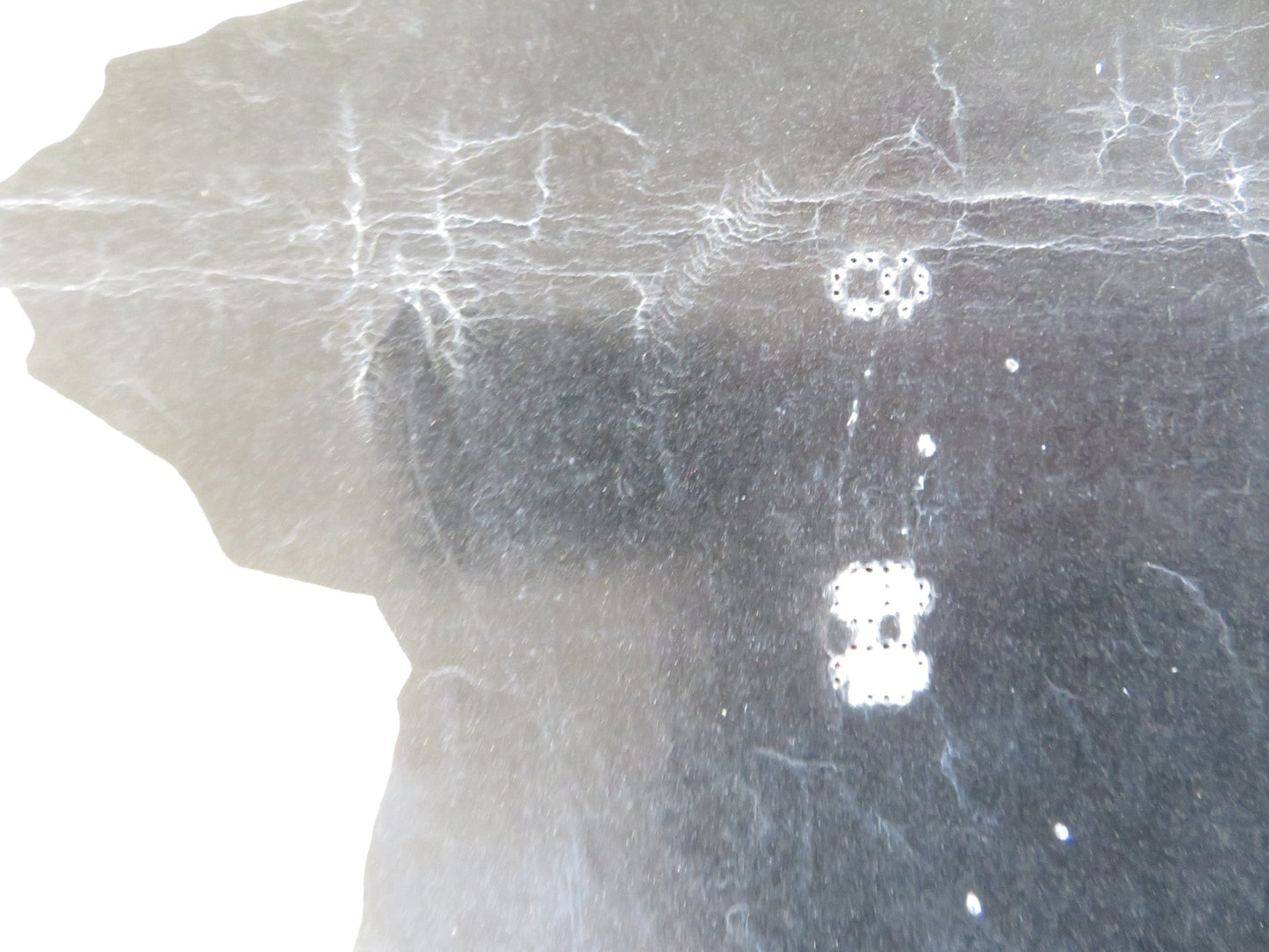 TARAS BULBA - B ITALIAN FOTOBUSTA POSTER TONY CURTIS YUL BRYNNER 1962 Rendezvous Cinema Movie posters