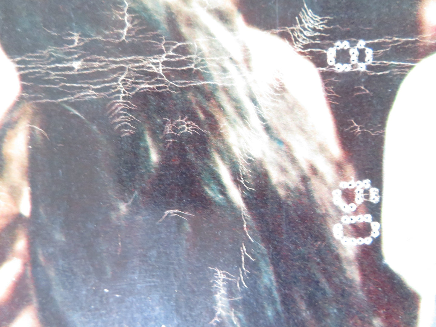 TARAS BULBA - E ITALIAN FOTOBUSTA POSTER TONY CURTIS YUL BRYNNER 1962 Rendezvous Cinema Movie posters