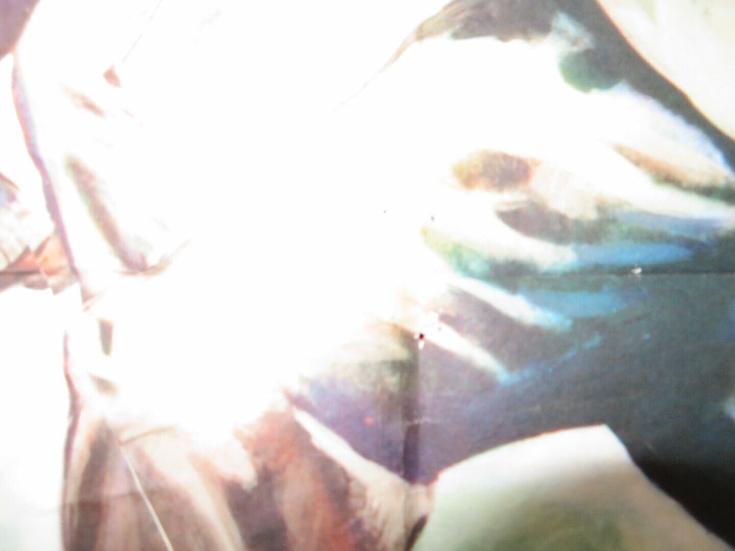 TARAWA BEACHHEAD FOLDED US ONE SHEET POSTER KERWIN MATHEWS JULIA ADAMS 1958 Movie posters