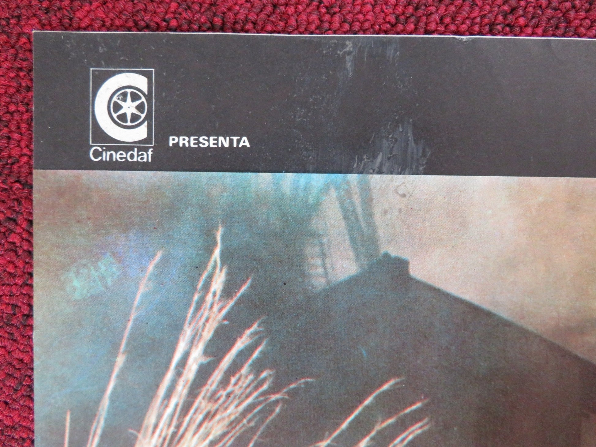 TARGET OF AN ASSASSIN ITALIAN FOTOBUSTA POSTER ANTHONY QUINN JOHN P. LAW 1977 Rendezvous Cinema Movie posters