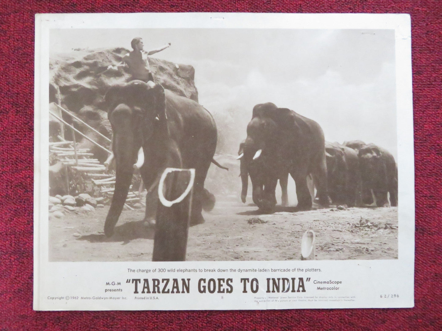 TARZAN GOES TO INDIA US LOBBY CARD FULL SET JOCK MAHONEY SIMI GAREWAL 1962 Rendezvous Cinema Movie posters