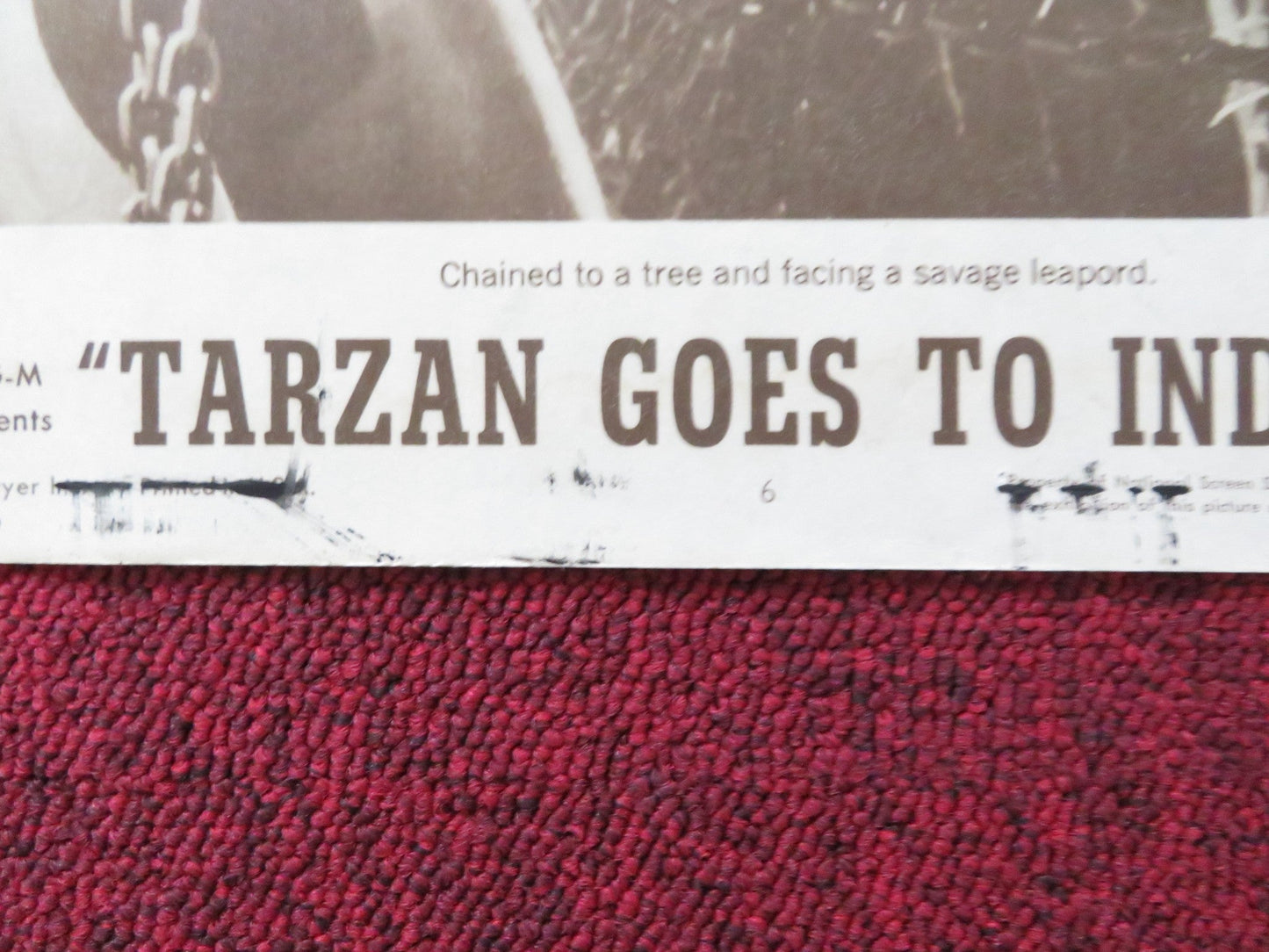 TARZAN GOES TO INDIA US LOBBY CARD FULL SET JOCK MAHONEY SIMI GAREWAL 1962 Rendezvous Cinema Movie posters