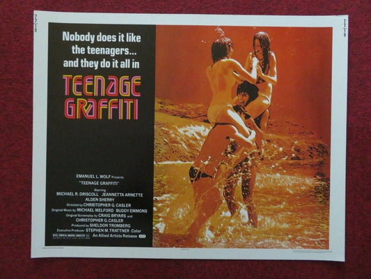 TEENAGE GRAFFITI US HALF SHEET (22"x 28") POSTER MICHAEL R DRISCOLL 1977 Movie posters