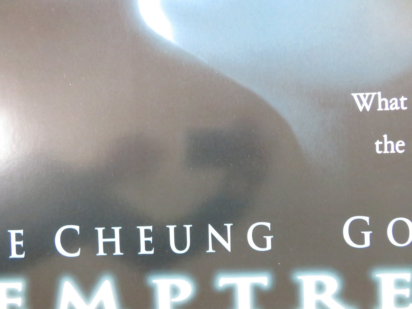 TEMPTRESS MOON US ONE SHEET ROLLED POSTER LESLIE CHEUNG GONG LI 1996 Rendezvous Cinema Movie posters