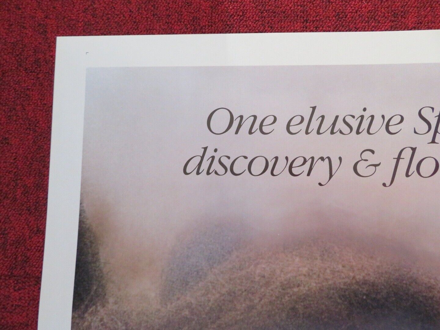 Tender Cousins ONE SHEET POSTER FOLDED DAVID HALMILTON 1983 Movie posters