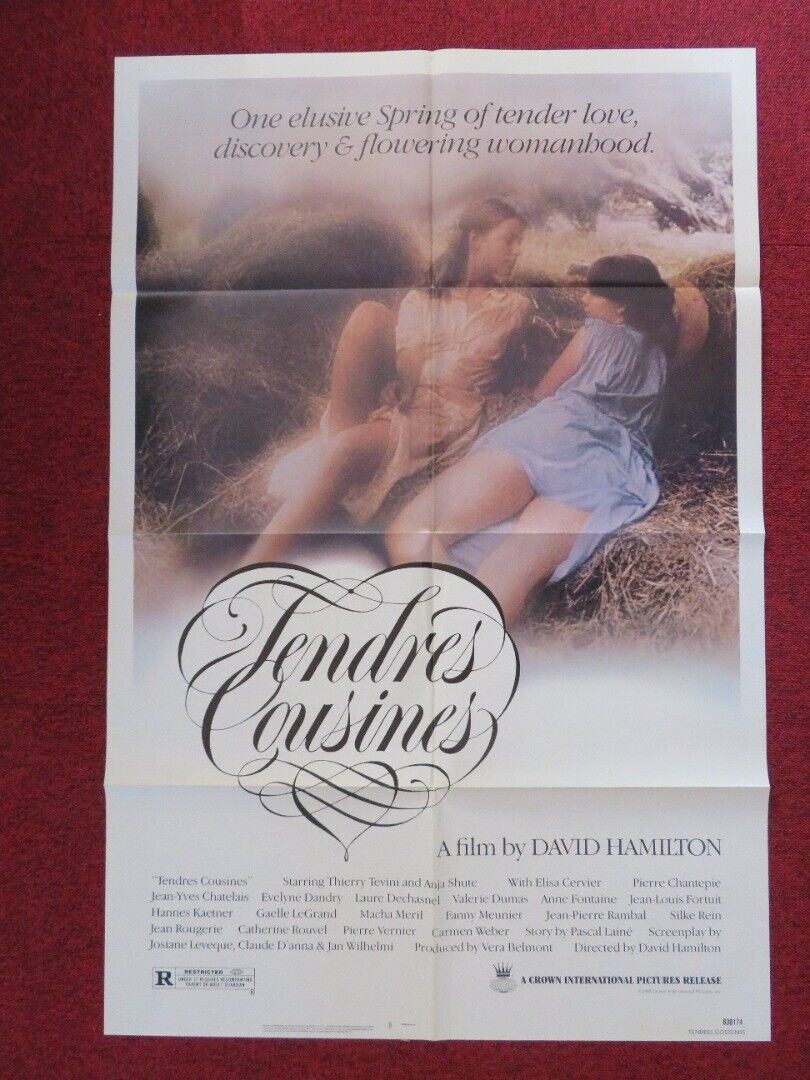 Tender Cousins ONE SHEET POSTER FOLDED DAVID HALMILTON 1983 Movie posters
