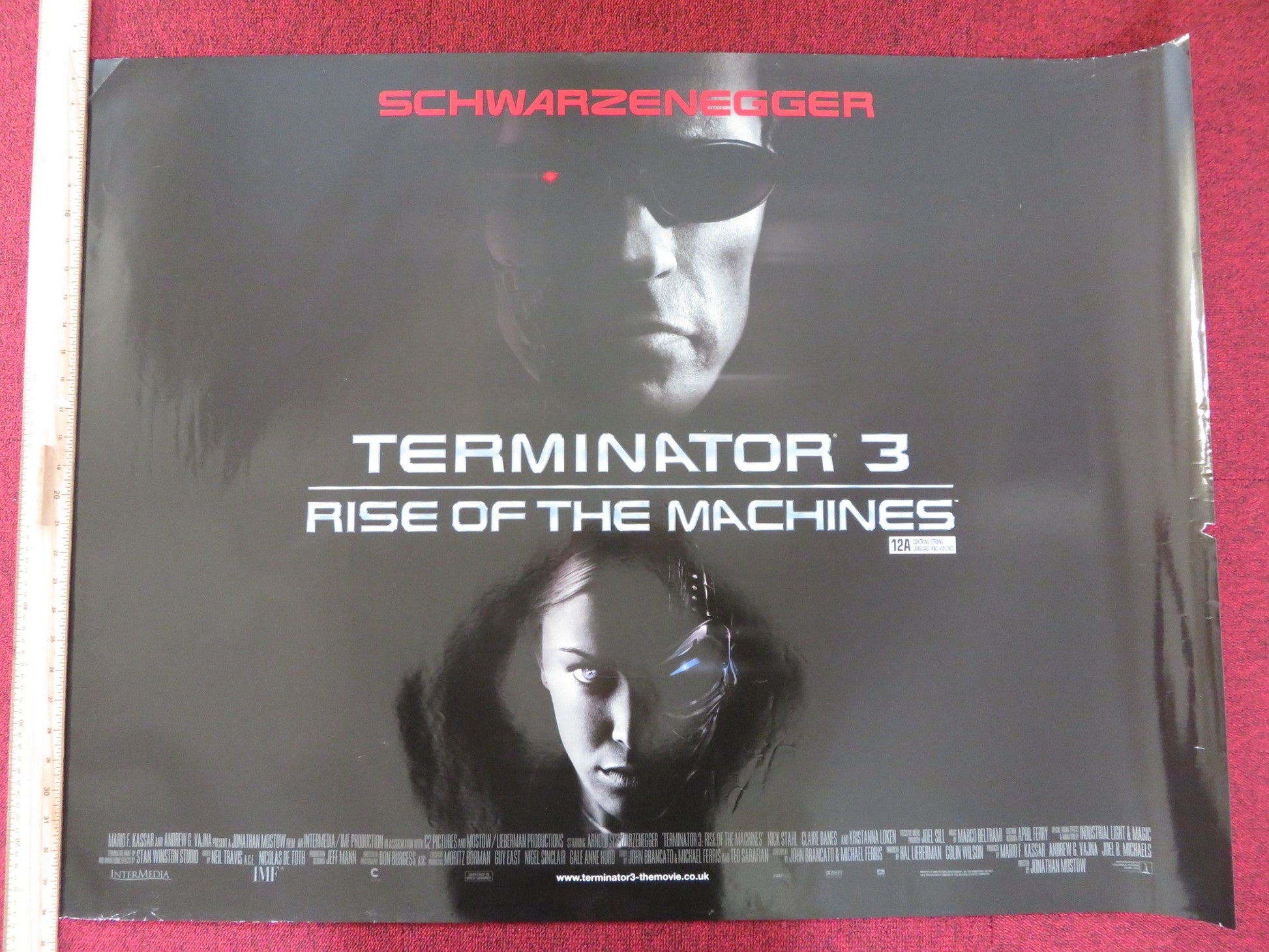 TERMINATOR 3: RISE OF THE MACHINES UK QUAD (30"x 40") ROLLED POSTER 2003 Rendezvous Cinema Movie posters