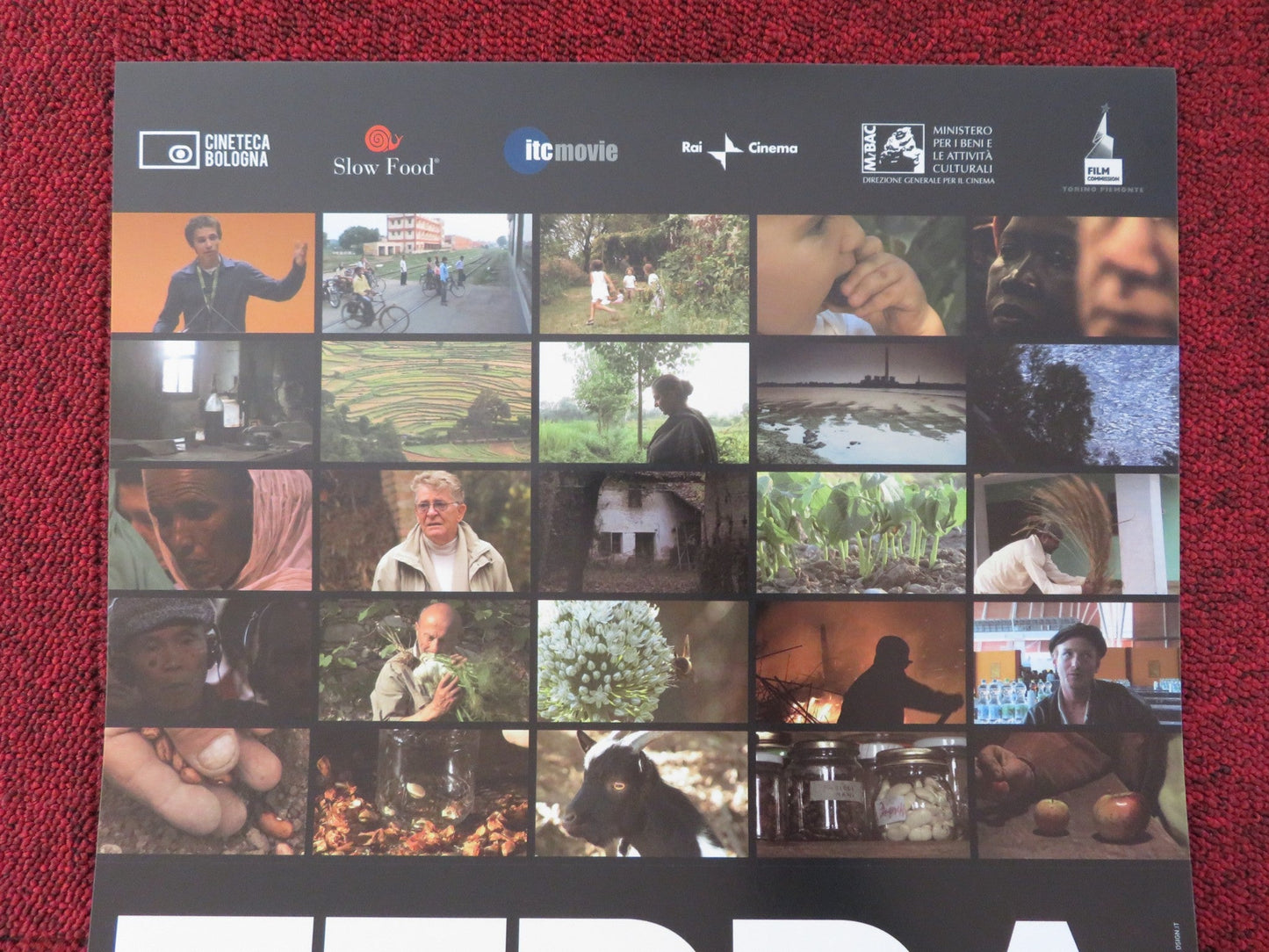 TERRA MADRE ITALIAN LOCANDINA POSTER AMPELLO BUCCI STEFANO GATTI 2009 Rendezvous Cinema Movie posters