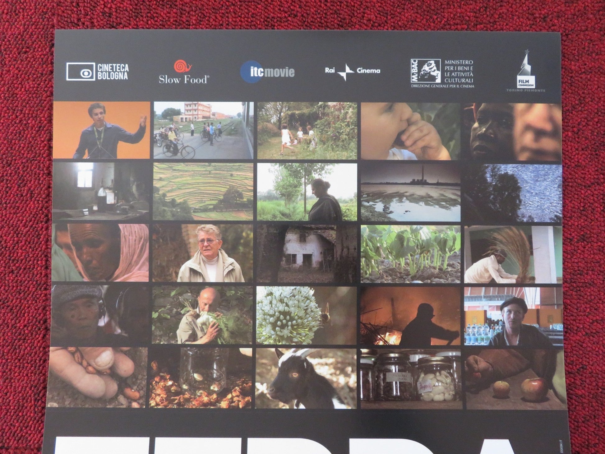 TERRA MADRE ITALIAN LOCANDINA POSTER AMPELLO BUCCI STEFANO GATTI 2009 Rendezvous Cinema Movie posters