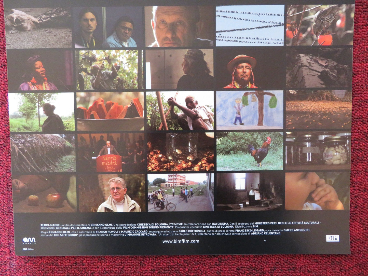 TERRA MADRE ITALIAN LOCANDINA POSTER AMPELLO BUCCI STEFANO GATTI 2009 Rendezvous Cinema Movie posters