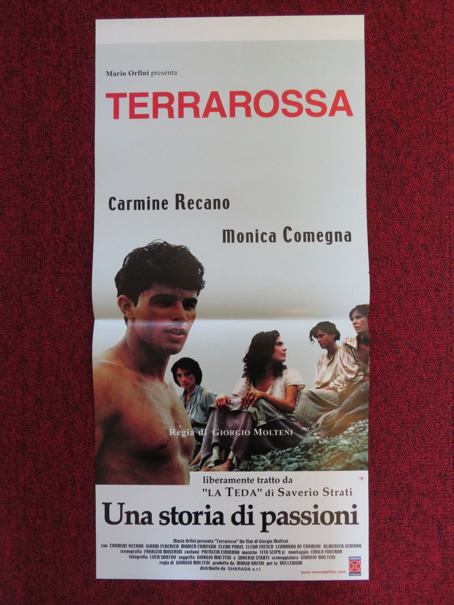 TERRAROSSA ITALIAN LOCANDINA POSTER CARMINE RECANO MONICA COMEGNA 2001 Rendezvous Cinema Movie posters