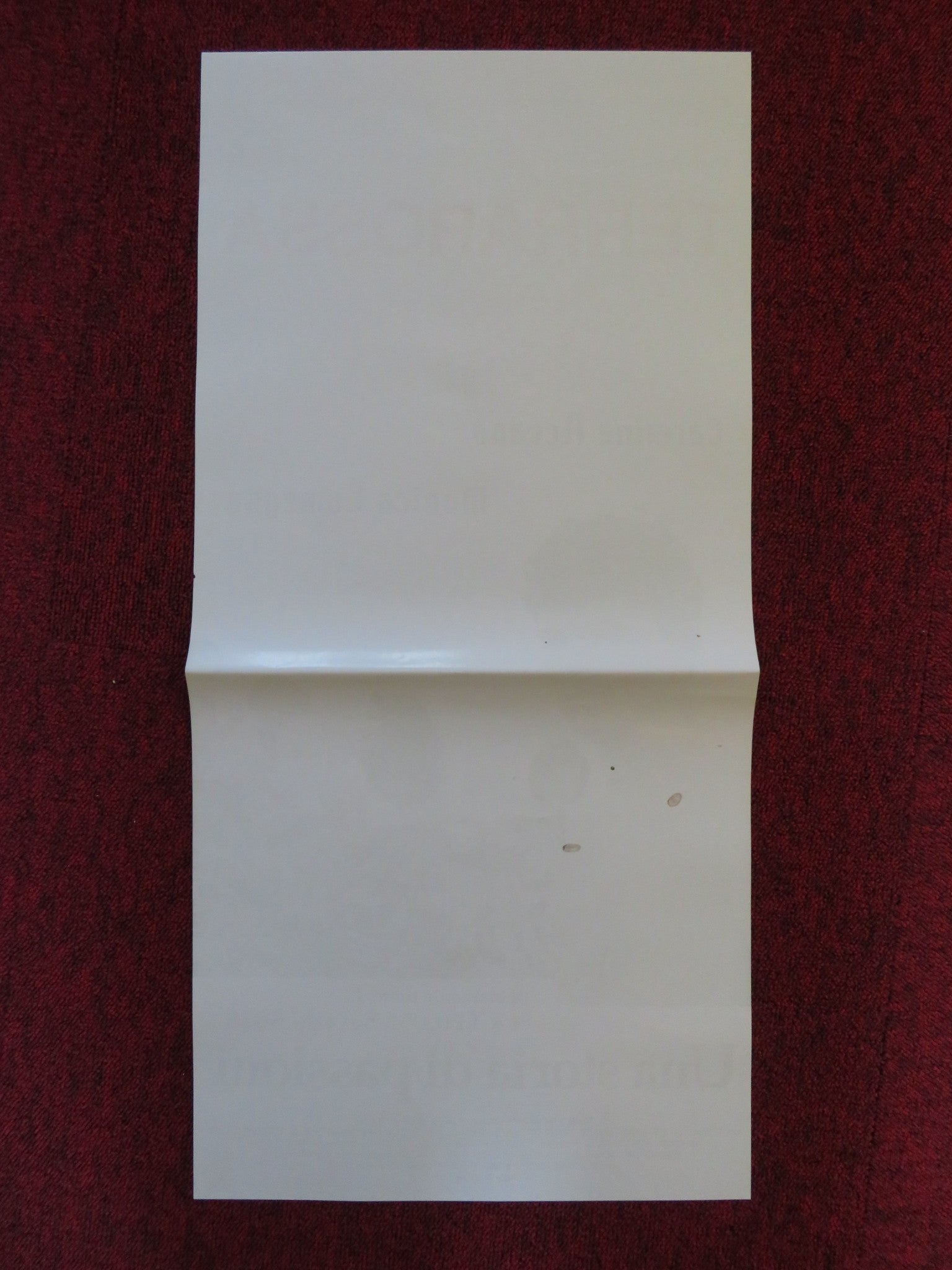 TERRAROSSA ITALIAN LOCANDINA POSTER CARMINE RECANO MONICA COMEGNA 2001 Rendezvous Cinema Movie posters