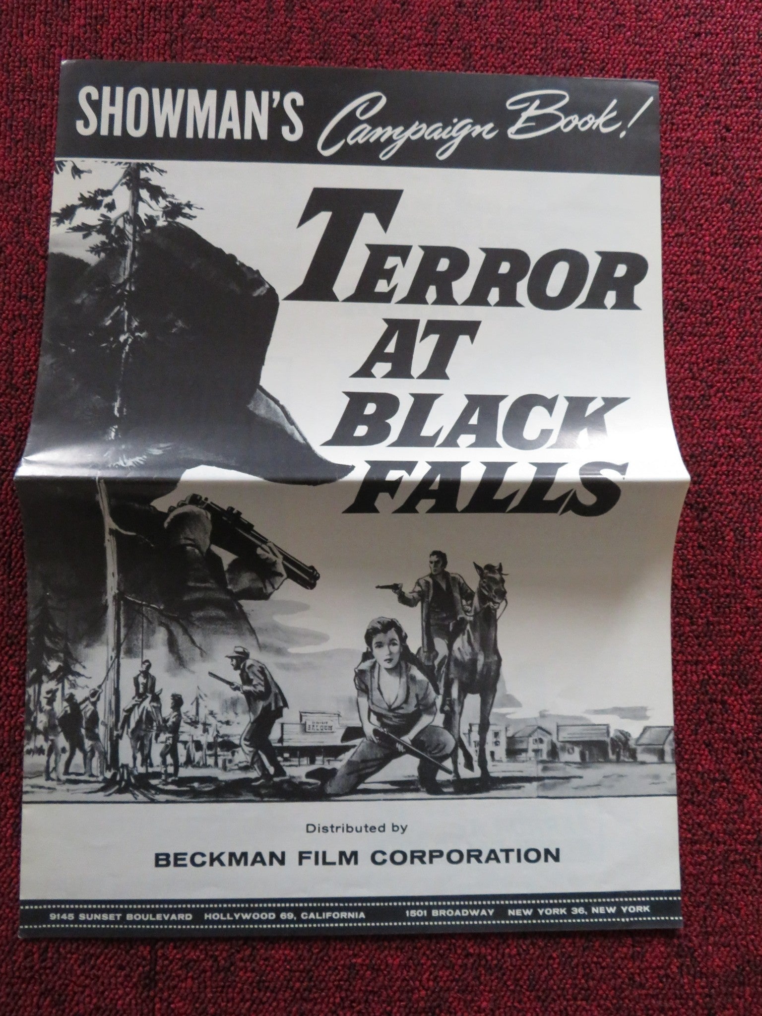 TERROR AT BLACK FALLS US UNCUT PRESSBOOK HOUSE PETER JR. JOHN ALONSO 1962 Rendezvous Cinema Movie posters