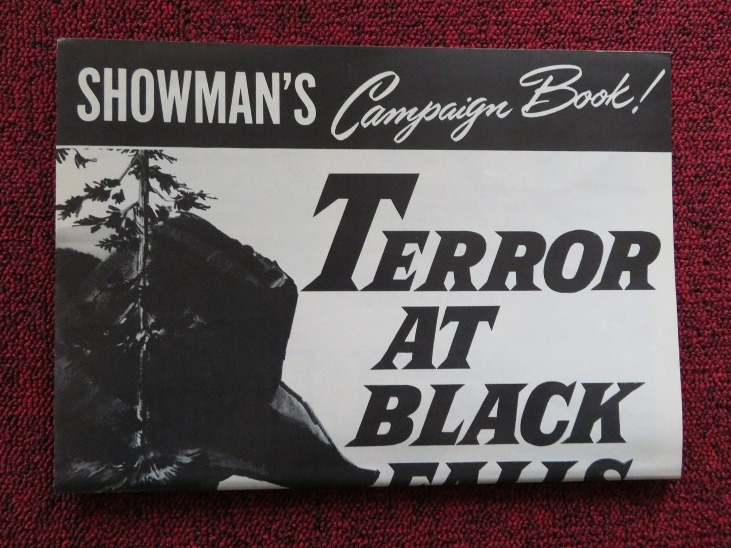 TERROR AT BLACK FALLS US UNCUT PRESSBOOK HOUSE PETER JR. JOHN ALONSO 1962 Rendezvous Cinema Movie posters