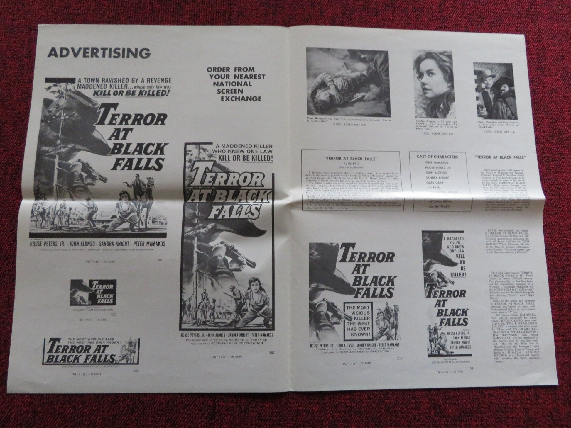 TERROR AT BLACK FALLS US UNCUT PRESSBOOK HOUSE PETER JR. JOHN ALONSO 1962 Rendezvous Cinema Movie posters