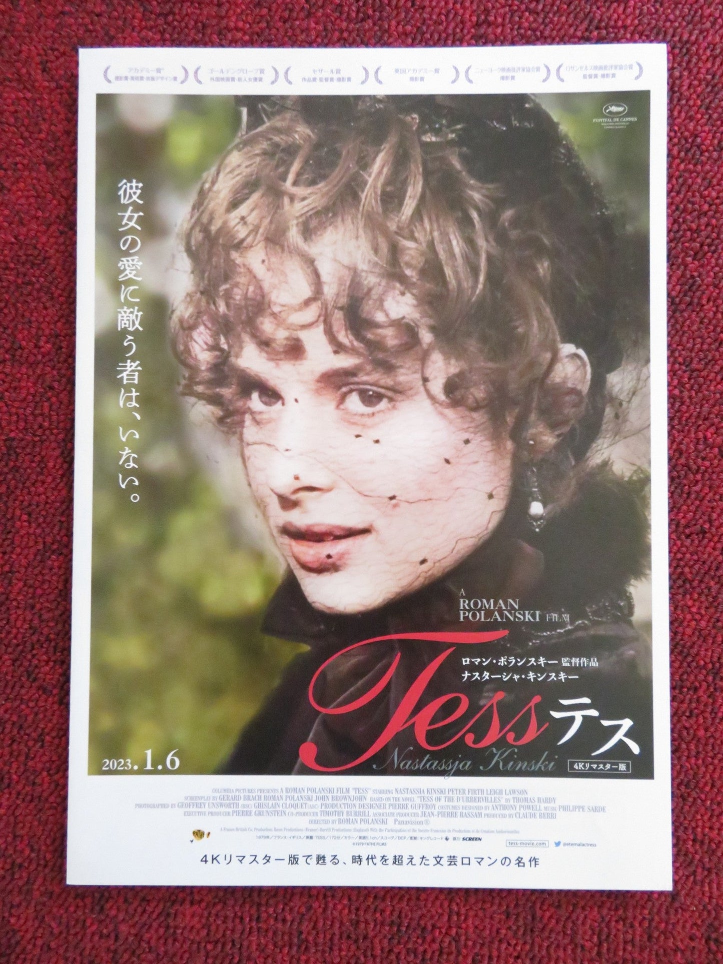 TESS JAPANESE CHIRASHI (B5) POSTER JOHN COLLIN TONY CHURCH 2023 Rendezvous Cinema Movie posters