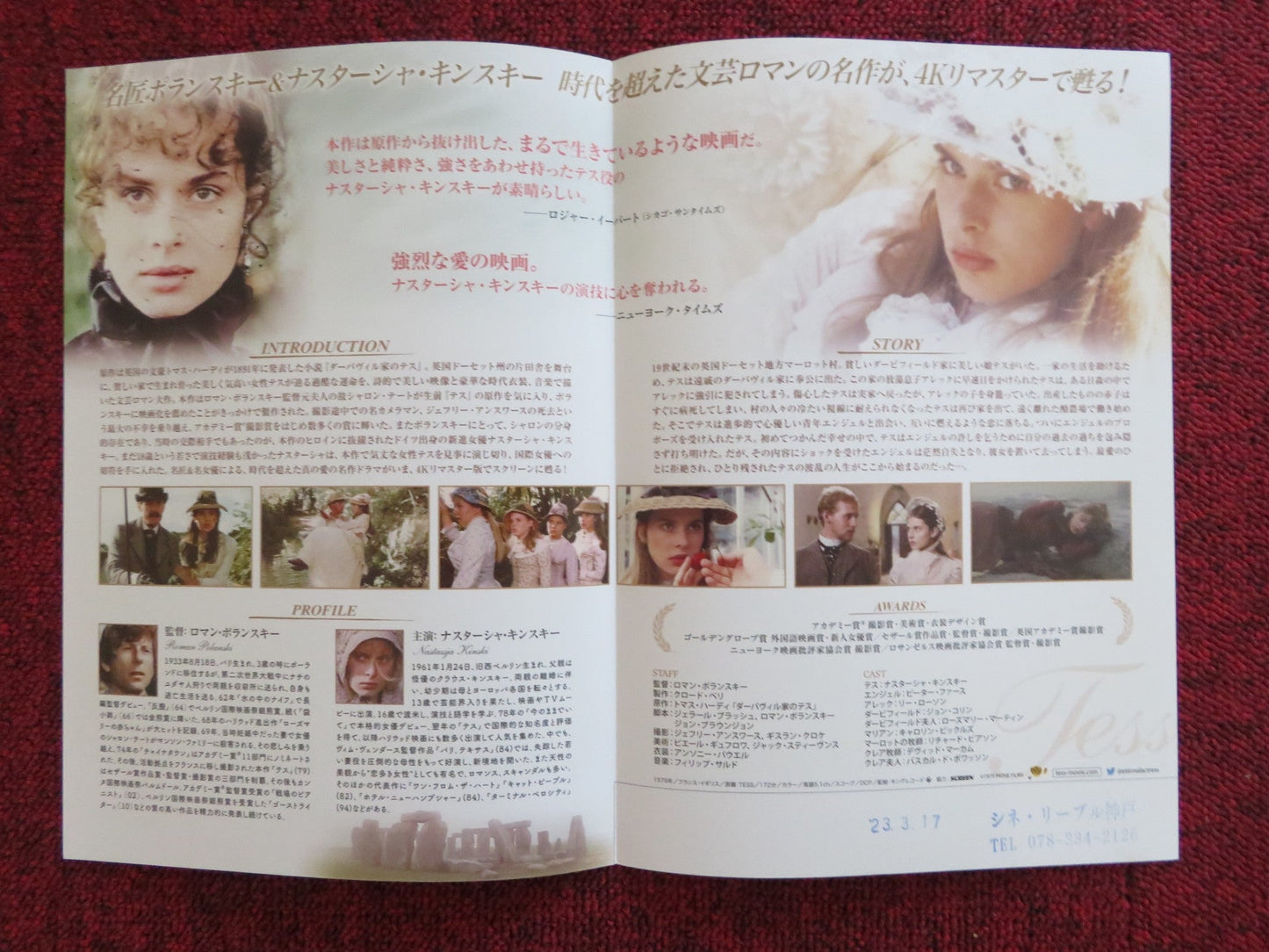 TESS JAPANESE CHIRASHI (B5) POSTER JOHN COLLIN TONY CHURCH 2023 Rendezvous Cinema Movie posters