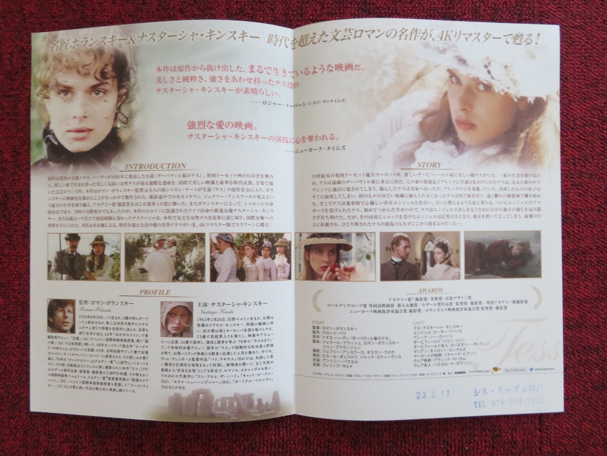 TESS JAPANESE CHIRASHI (B5) POSTER JOHN COLLIN TONY CHURCH 2023 Rendezvous Cinema Movie posters