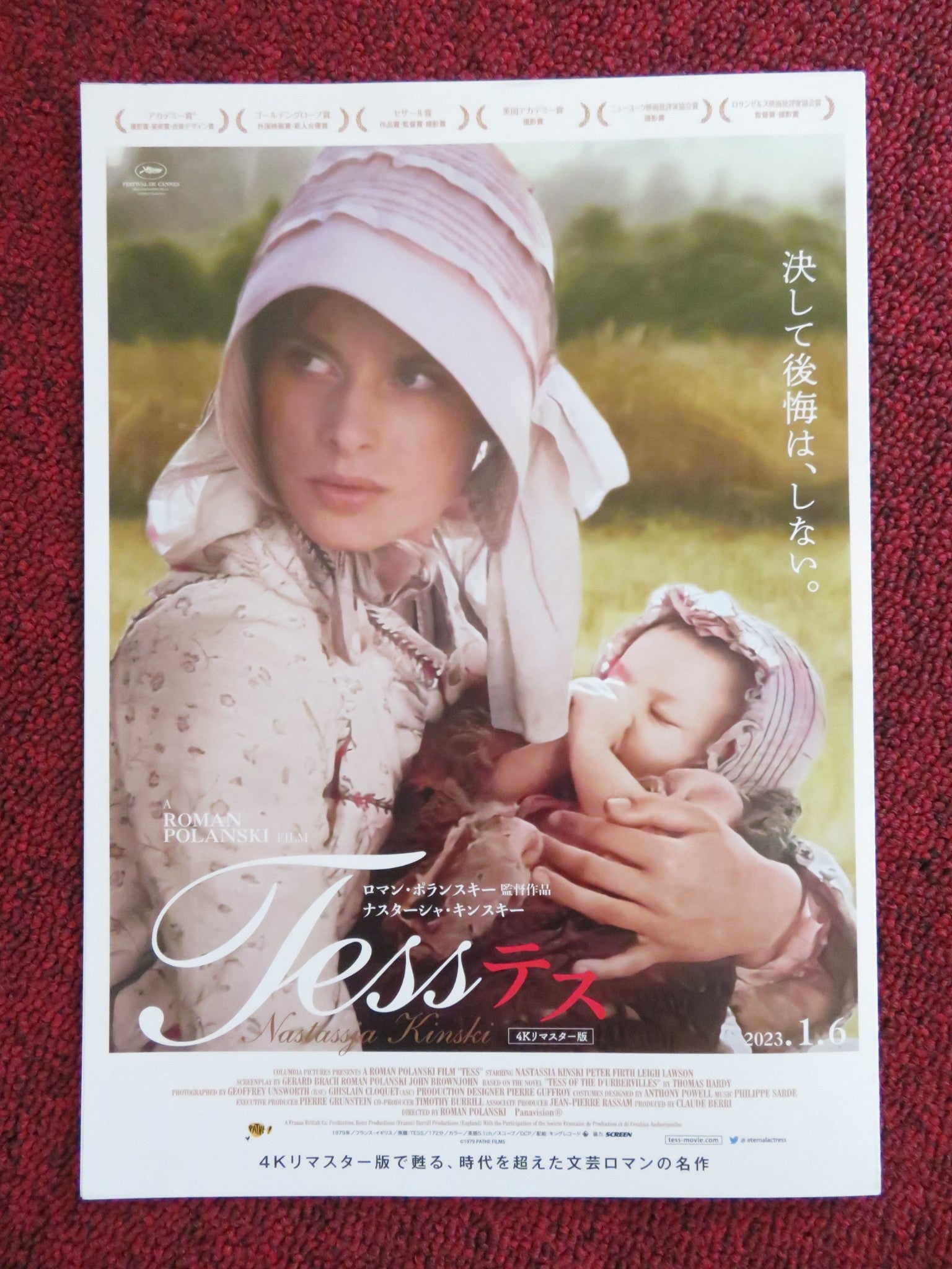 TESS JAPANESE CHIRASHI (B5) POSTER JOHN COLLIN TONY CHURCH 2023 Rendezvous Cinema Movie posters