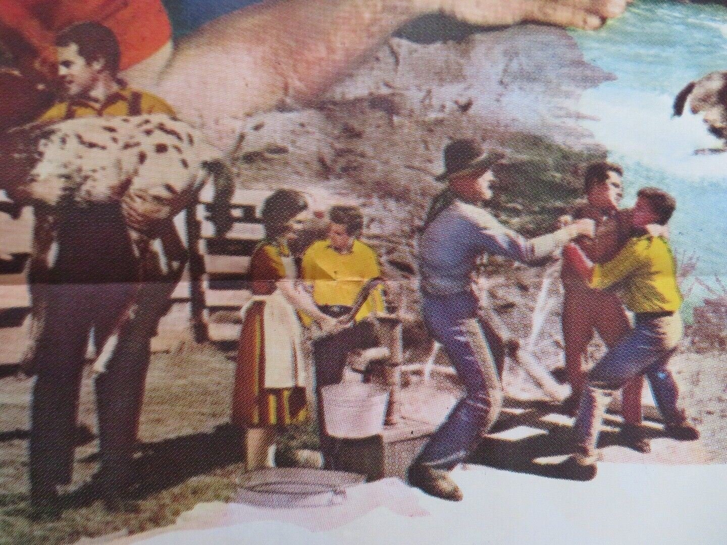 TESS OF STORM COUNTRY US ONE SHEET POSTER DIANE BAKER LEE PHILIPS 1960 Movie posters