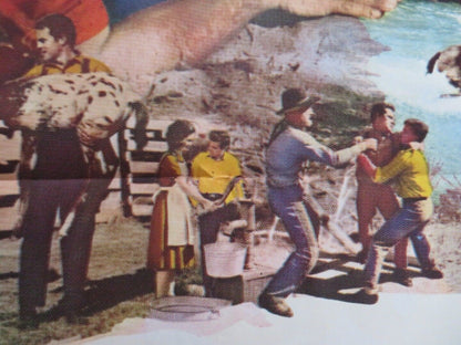 TESS OF STORM COUNTRY US ONE SHEET POSTER DIANE BAKER LEE PHILIPS 1960 Movie posters