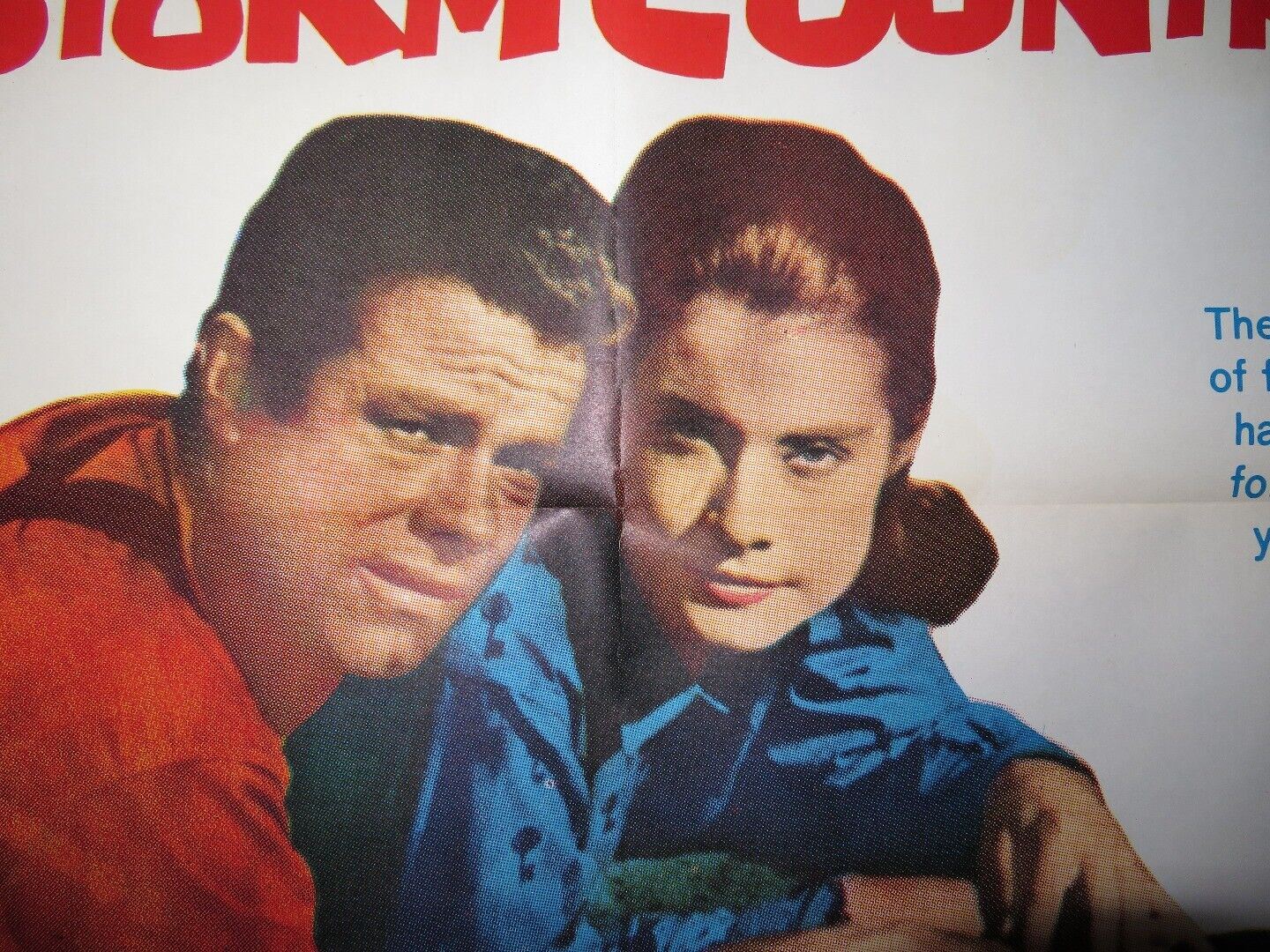 TESS OF STORM COUNTRY US ONE SHEET POSTER DIANE BAKER LEE PHILIPS 1960 Movie posters