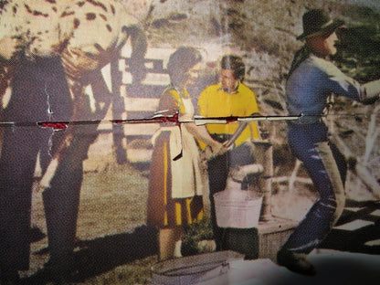 TESS OF THE STORM COUNTRY FOLDED US ONE SHEET POSTER DIANE BAKER 1960 Movie posters