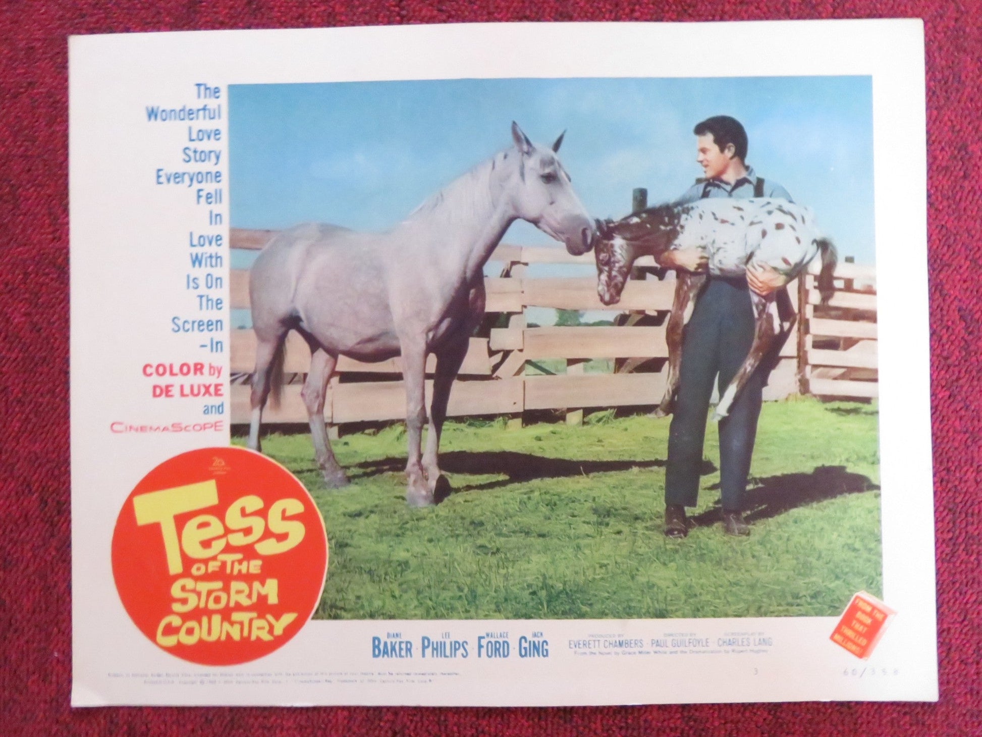TESS OF THE STORM COUNTRY US LOBBY CARD FULL SET DIANE BAKER LEE PHILIPS 1960 Rendezvous Cinema Movie posters