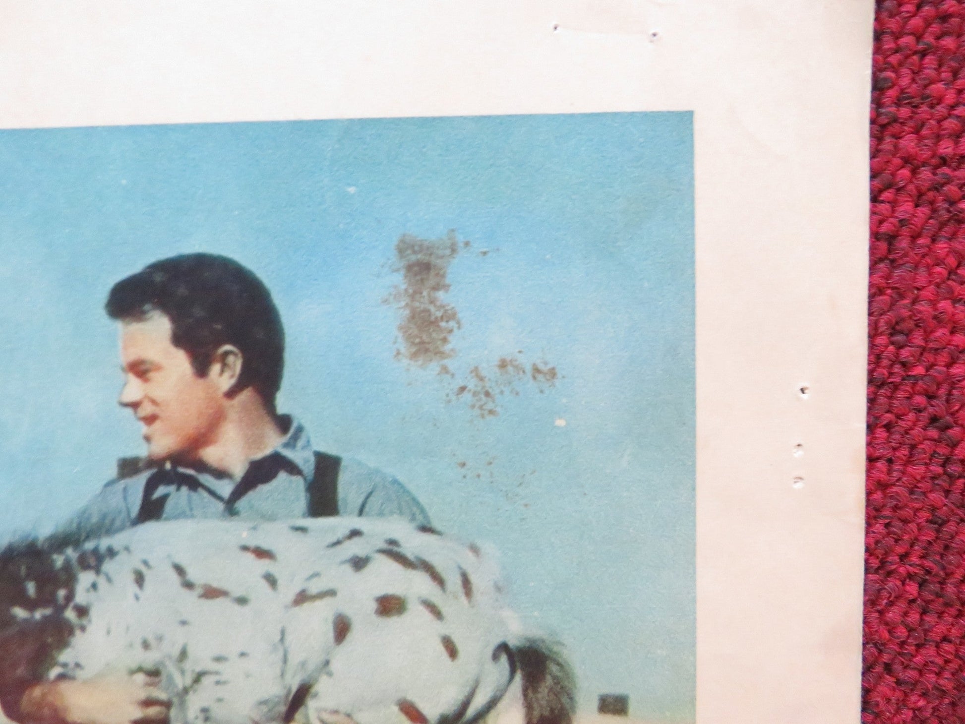 TESS OF THE STORM COUNTRY US LOBBY CARD FULL SET DIANE BAKER LEE PHILIPS 1960 Rendezvous Cinema Movie posters