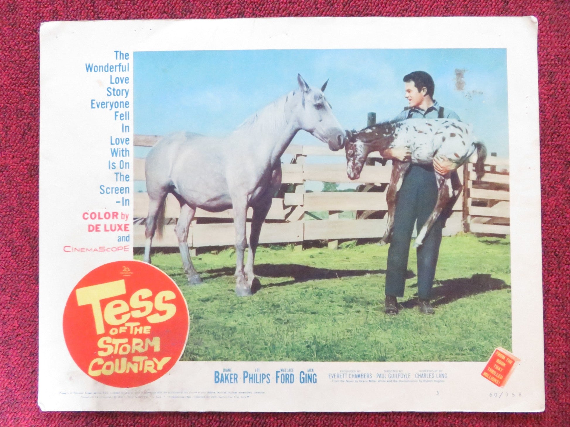 TESS OF THE STORM COUNTRY US LOBBY CARD FULL SET DIANE BAKER LEE PHILIPS 1960 Rendezvous Cinema Movie posters