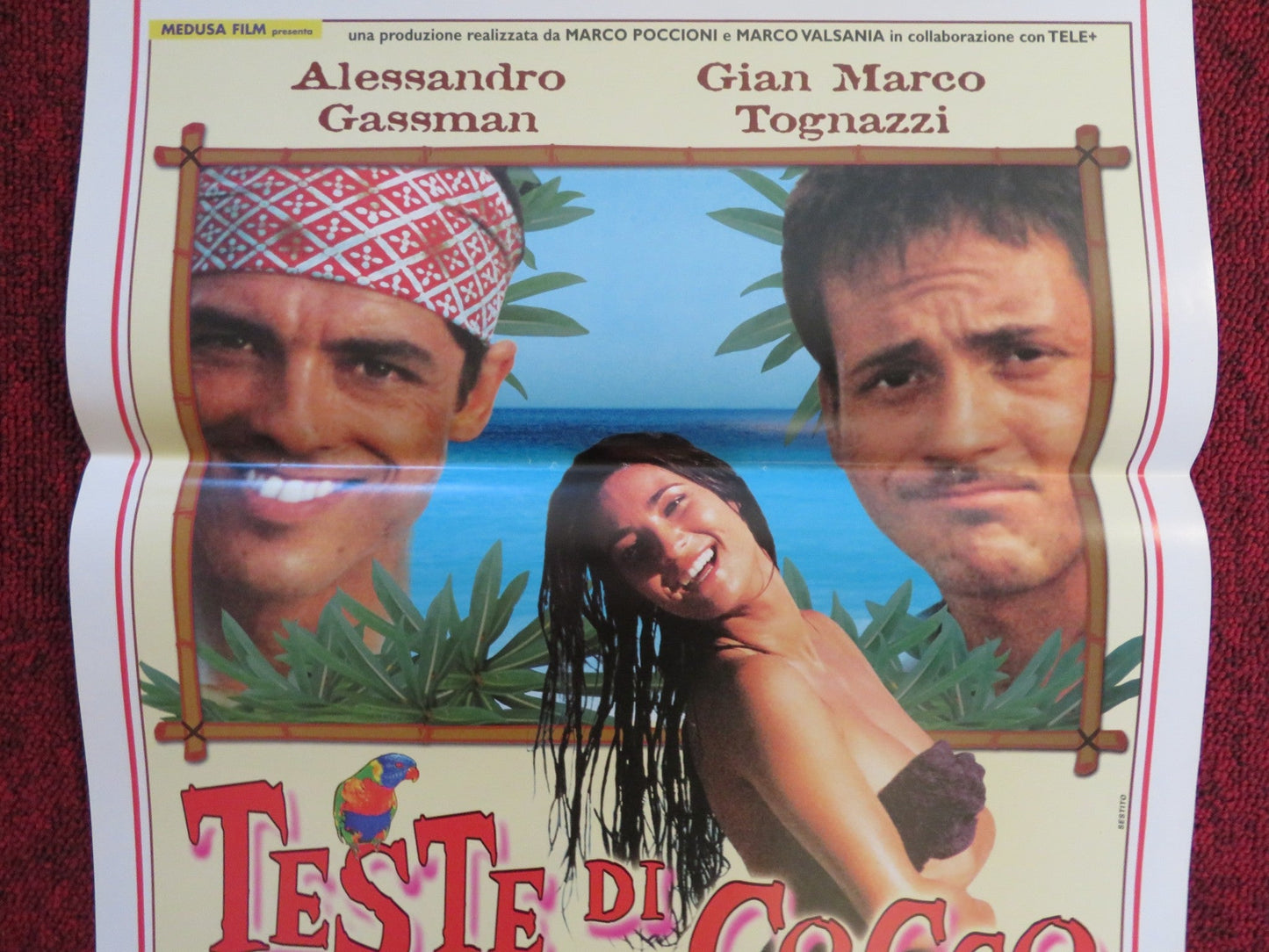 TESTE DI COCCO ITALIAN LOCANDINA POSTER ALESSANDRO GASSMAN G. M. TOGNAZZI 2000 Rendezvous Cinema Movie posters