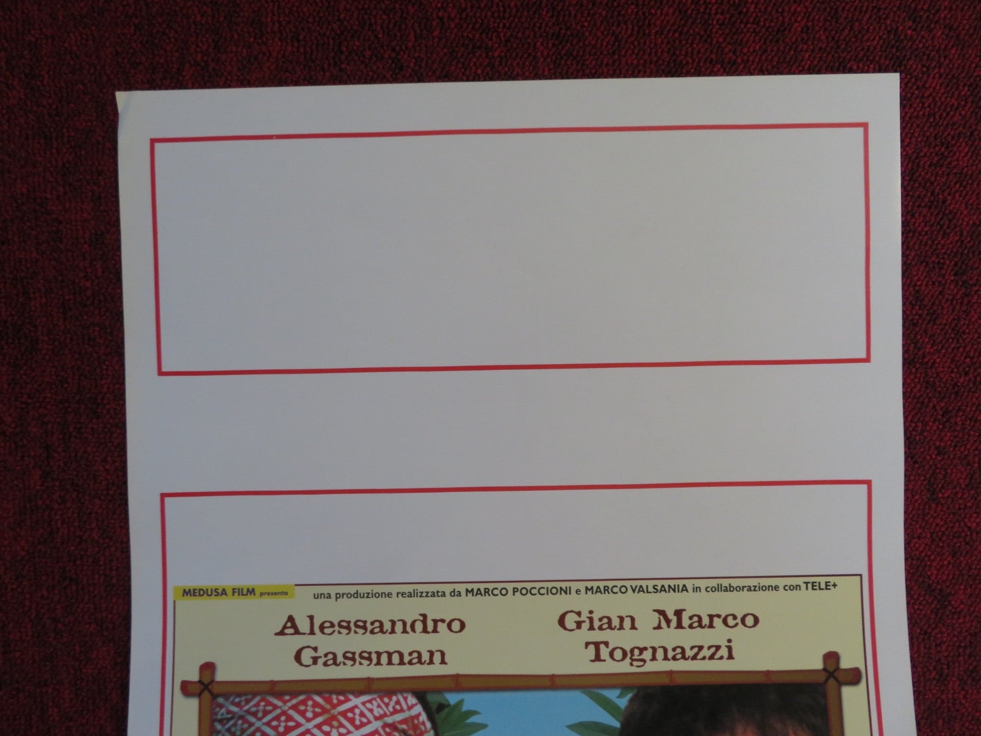 TESTE DI COCCO ITALIAN LOCANDINA POSTER ALESSANDRO GASSMAN G. M. TOGNAZZI 2000 Rendezvous Cinema Movie posters