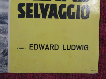 TEXAS SELVAGGIO / THE FABULOUS TEXAN ITALIAN FOTOBUSTA POSTER JOHN CARROL 1947 Movie posters