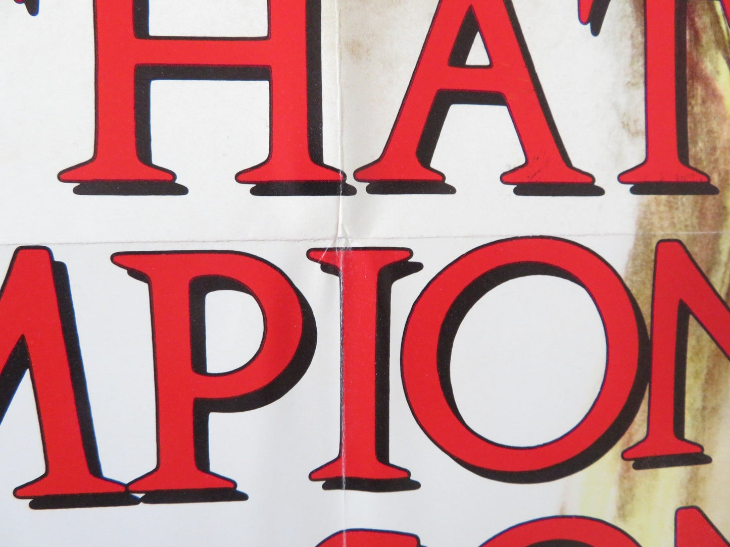 THAT CHAMPIONSHIP SEASON FOLDED US ONE SHEET POSTER CANNON BRUCE DERN 1982 Rendezvous Cinema Movie posters