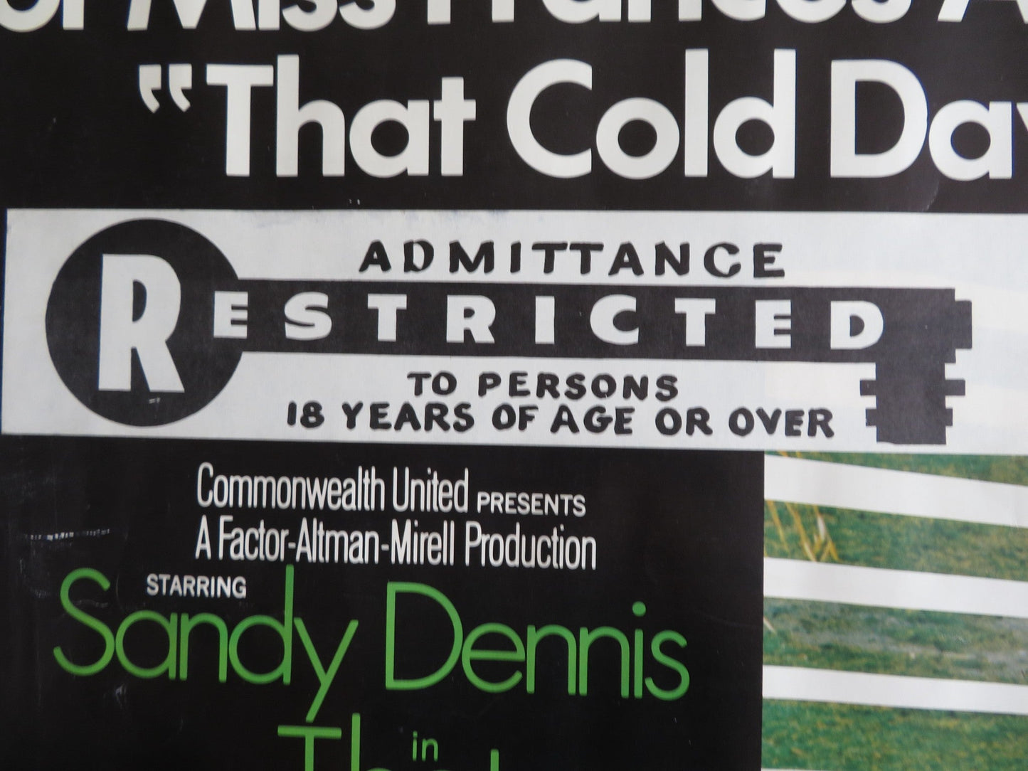 THAT COLD DAY IN THE PARK US HALF SHEET (22"x 28") POSTER SANDY DENNIS 1969 Rendezvous Cinema Movie posters