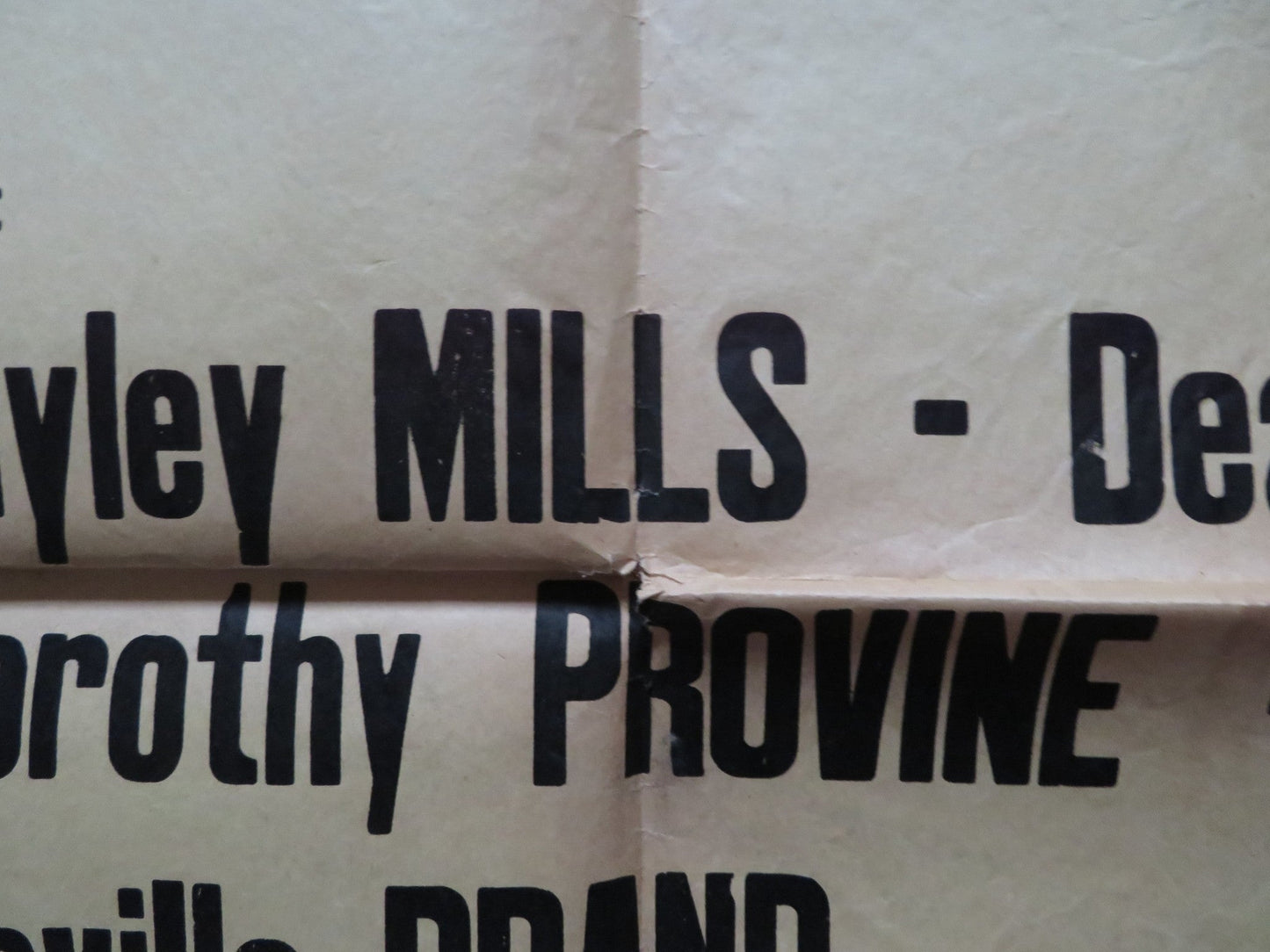 THAT DARN CAT! FRENCH POSTER DISNEY HAYLEY MILLS DEAN JONES 1965 Rendezvous Cinema Movie posters