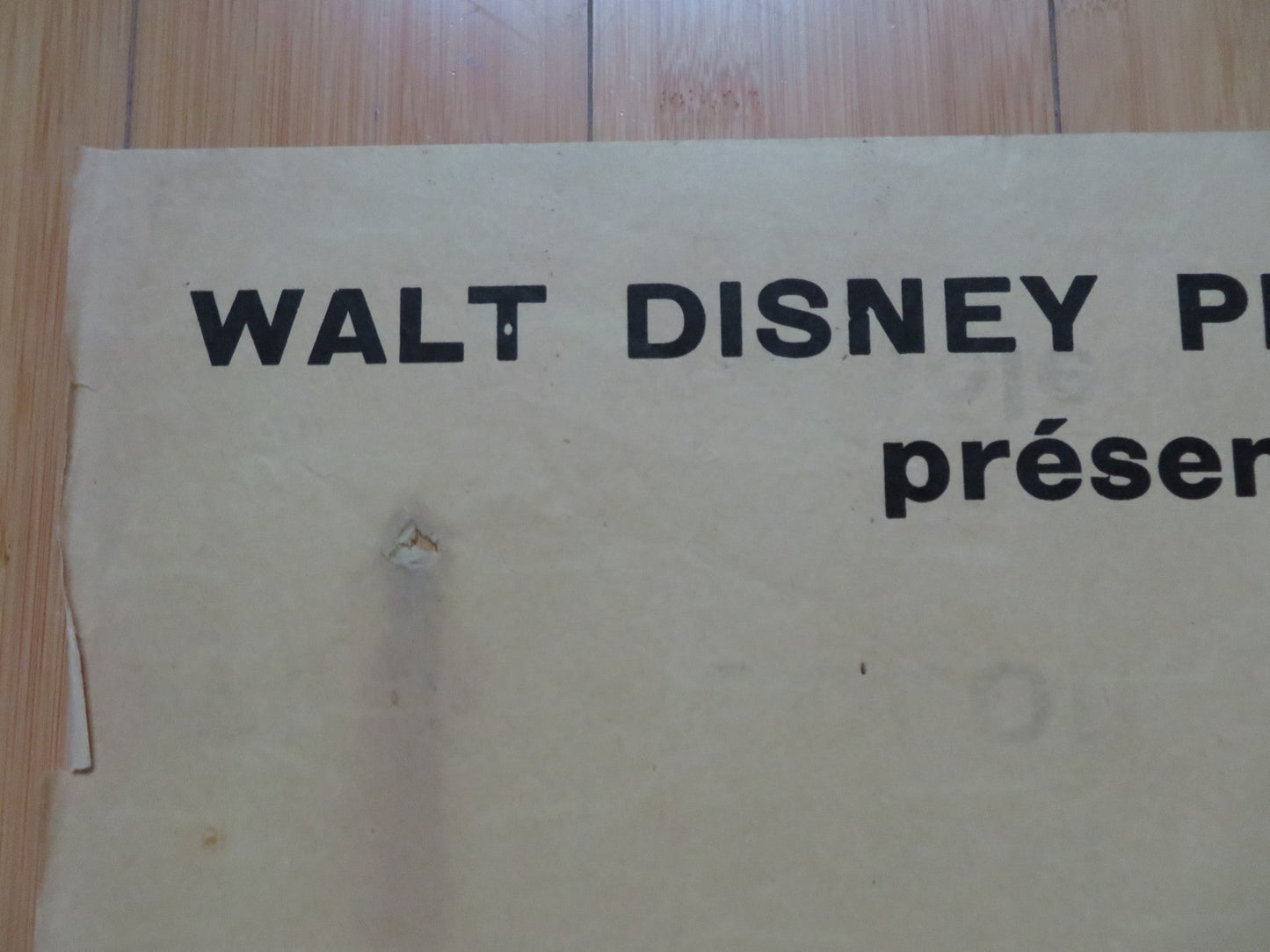 THAT DARN CAT! FRENCH POSTER DISNEY HAYLEY MILLS DEAN JONES 1965 Rendezvous Cinema Movie posters