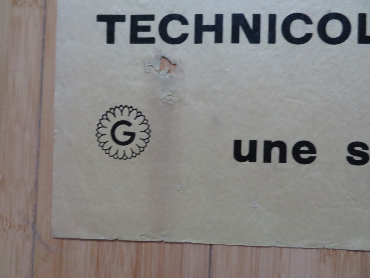 THAT DARN CAT! FRENCH POSTER DISNEY HAYLEY MILLS DEAN JONES 1965 Rendezvous Cinema Movie posters