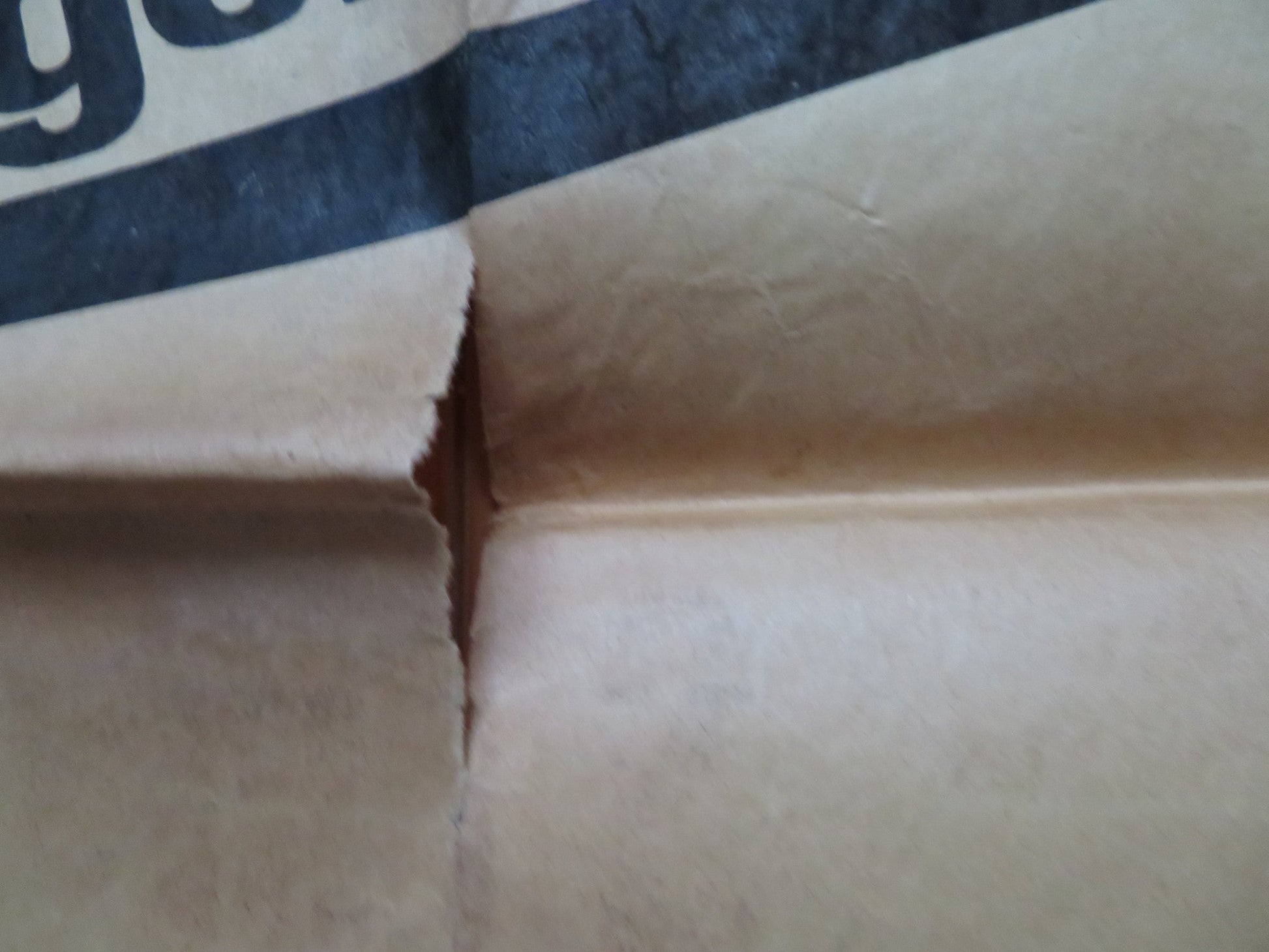 THAT DARN CAT! FRENCH POSTER DISNEY HAYLEY MILLS DEAN JONES 1965 Rendezvous Cinema Movie posters