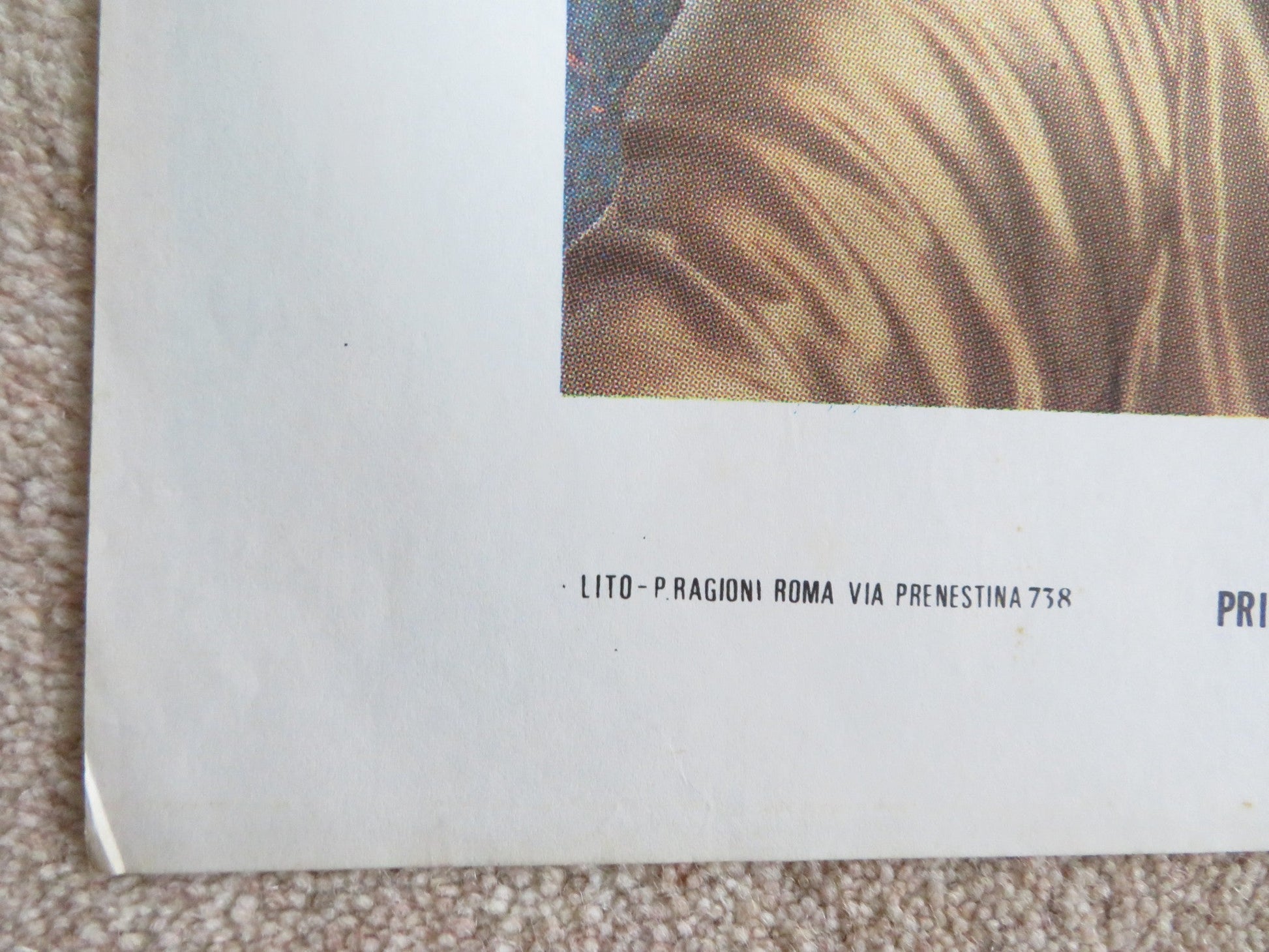 THAT NIGHT IN VARENNES ITALIAN 2 FOGLIO POSTER MARCELLO MASTROIANNI 1982 Rendezvous Cinema Movie posters