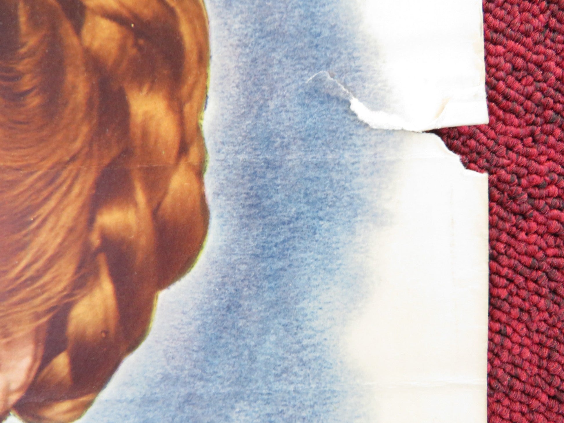 THATS MY GAL US INSERT (14"x 36") POSTER LYNNE ROBERTS DONALD BARRY 1947 Rendezvous Cinema Movie posters