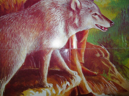 THE ADVENTURES OF FRONTIER FREMONT ONE SHEET POSTER 1975 Movie posters