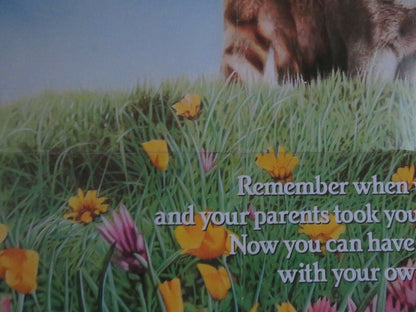 THE ADVENTURES OF MILO AND OTIS US ONE SHEET POSTER DUDLEY MOORE 1989 Movie posters