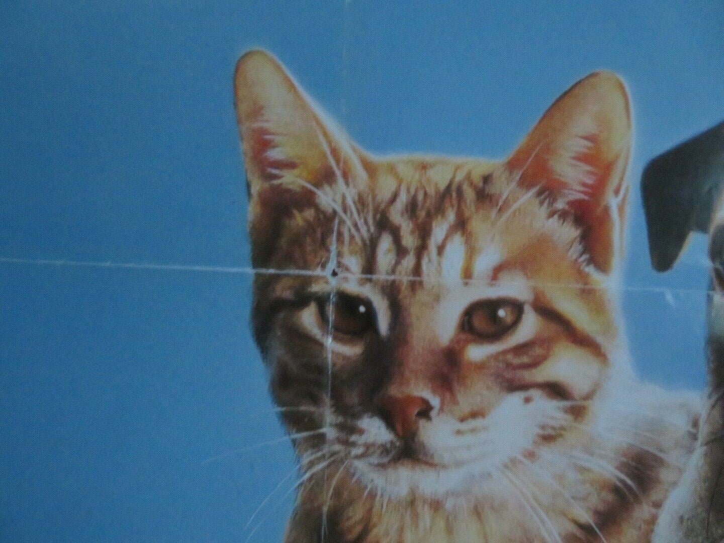 THE ADVENTURES OF MILO AND OTIS US ONE SHEET POSTER DUDLEY MOORE 1989 Movie posters