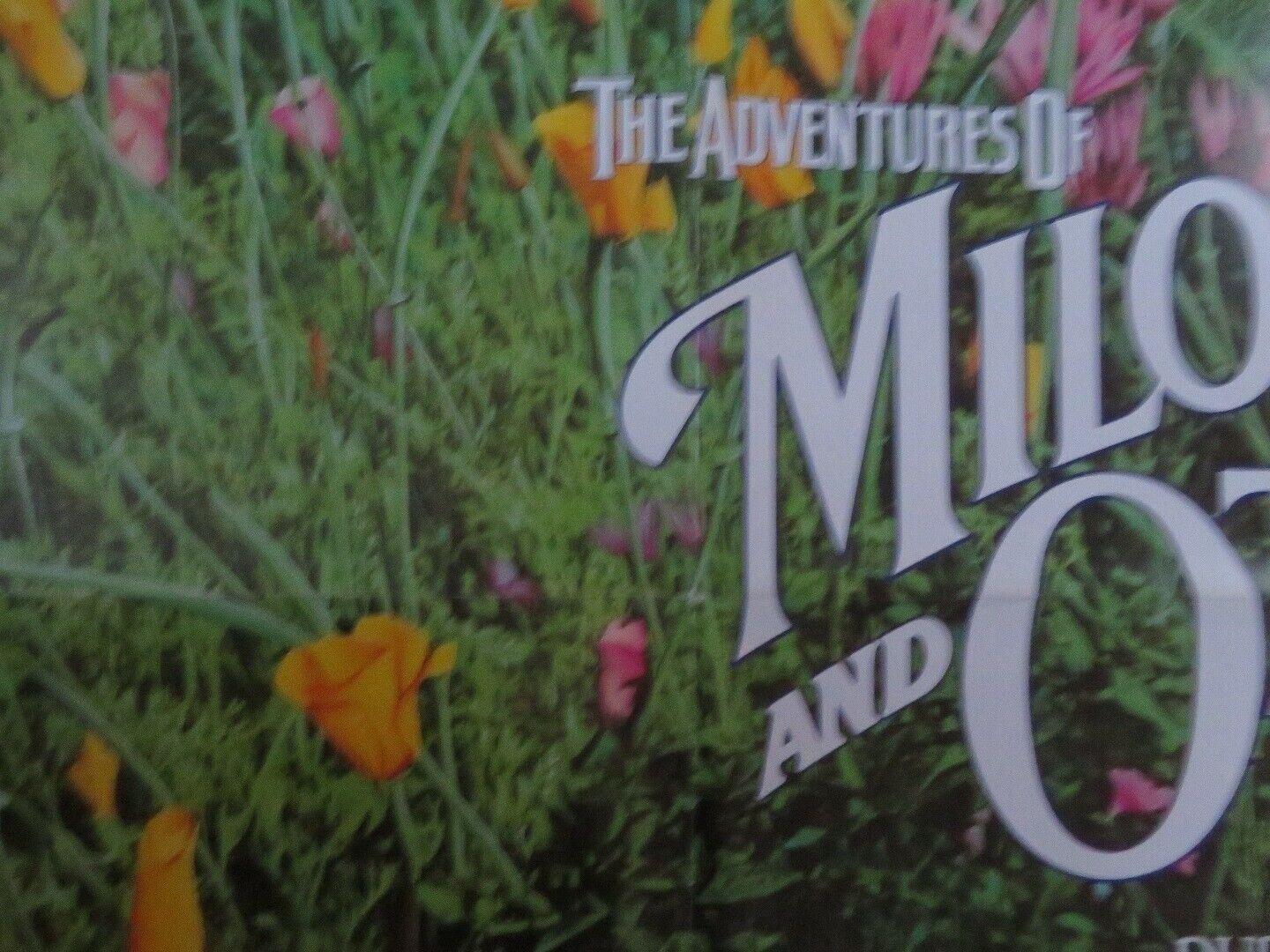 THE ADVENTURES OF MILO AND OTIS US ONE SHEET POSTER DUDLEY MOORE 1989 Movie posters