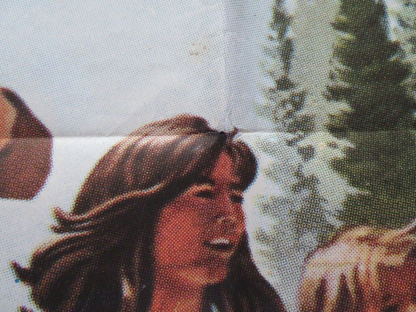 THE ADVENTURES OF THE WILDERNESS FAMILY ARGENTINA ONE SHEET POSTER 1975 - Rendezvous Cinema