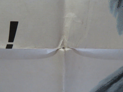 THE ADVENTURES OF THE WILDERNESS FAMILY ARGENTINA ONE SHEET POSTER 1975 - Rendezvous Cinema