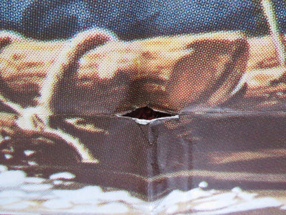 THE ADVENTURES OF THE WILDERNESS FAMILY ARGENTINA ONE SHEET POSTER 1975 - Rendezvous Cinema