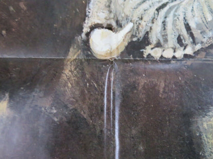 THE AFRICAN ELEPHANT US ONE SHEET POSTER FOLDED 1971 DAVID WAYNE Rendezvous Cinema Movie posters